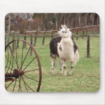 Viejo mousepad del ~ de la llama alfombrilla de raton