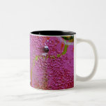 "Viento del verano " Tazas