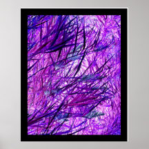 Viento Posters