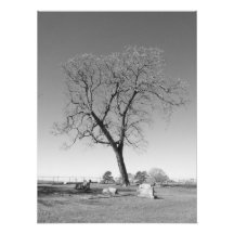 Viento soplado foto