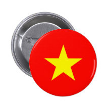 Vietnam Pins