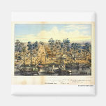 Ville de Sacramento, 1849. Imán