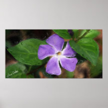 VINCA DE LA FLOR--PINTURA ORIGINAL DE DIGITAL POSTER