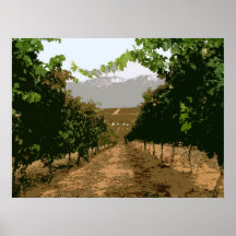 VIÑEDO 3 POSTER