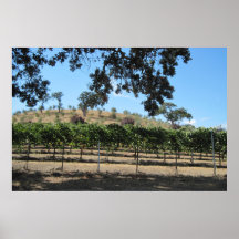 Viñedo del Poster-Sculpterra, Paso Robles