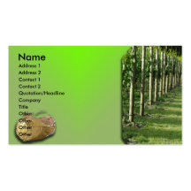 Viñedo Plantillas De Tarjetas De Visita