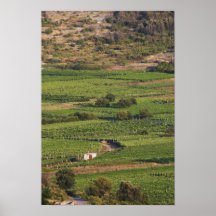 Viñedos de Smokvica en Korcula del Toreta Impresiones