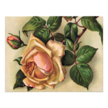 Vintage *Beautiful Roses* Comunicado Personalizado