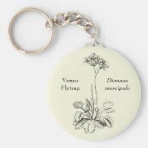 Vintage del atrapamoscas de Venus floral Llavero