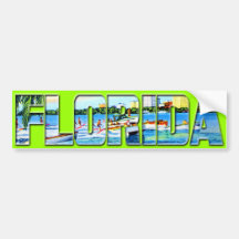 Vintage la Florida Pegatina De Parachoque