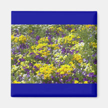 Violas Imanes Para Frigoríficos