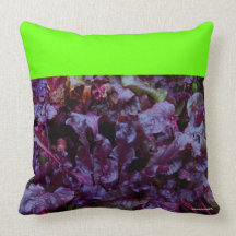 VIOLETA QUE CULTIVA UN HUERTO LETUCE DE LA PRIMAVE ALMOHADA
