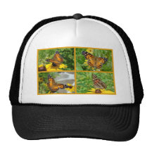 Virginiensis americano de señora Butterfly - de Va Gorros