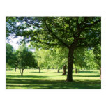 visión en el parque postal