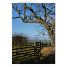 "Visiónes de gran envergadura" Northumberland Ingl Felicitación