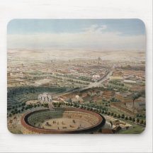 Vista aérea de Madrid de la plaza de Toros Tapetes De Raton