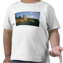 Vista de la ciudad camisetas
