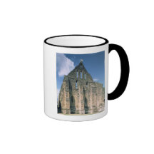 Vista de las ruinas taza