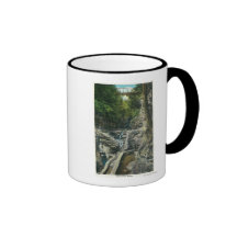 Vista de puente colgante taza de café