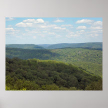 vista del losey poster