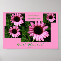 ¡Vive! ¡Flores! Poster