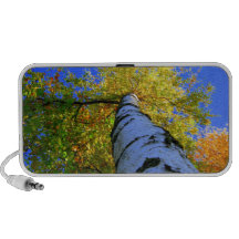 Vivo iPod Altavoz