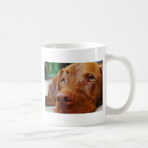 VIZSLA - taza