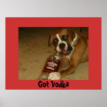 Vodka conseguida poster