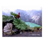 Volcán de Irazu Tarjeta Postal