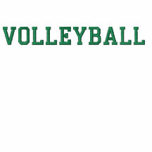 voleibol