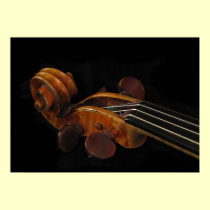 Voluta del violín posters