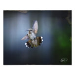 Vuelo de la foto del ángel