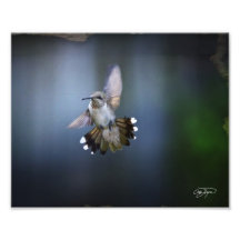 Vuelo de la foto del ángel