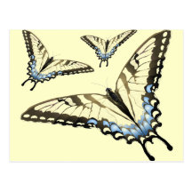 Vuelo de la mariposa tarjeta postal