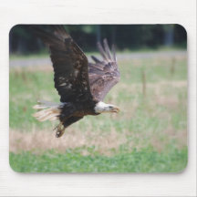 Vuelo Eagle Tapetes De Ratones