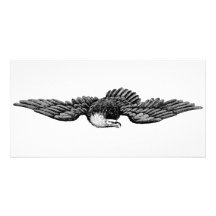 VUELO EAGLE TARJETA FOTOGRÁFICA