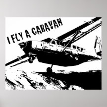 "VUELO poster de una CARAVANA"