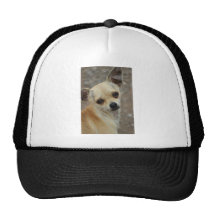 Vuelta Gorro