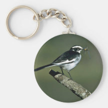Wagtail de varios colores llaveros personalizados