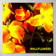 Wallflowers Poster