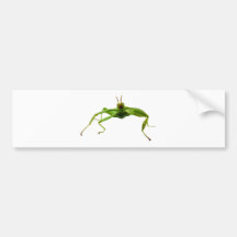 Wandelndes Blatt Autoaufkleber