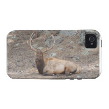 Wapiti de los alces iPhone 4/4S carcasa