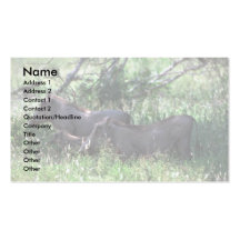 Warthog - hembra con Shoats Plantillas De Tarjetas De Visita