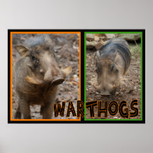 WARTHOGS - POSTER DEL ANIMAL SALVAJE