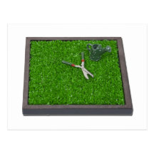 WateringCanTrimmersOnGrass112611 Tarjeta Postal