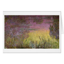 Waterlilies en la puesta del sol, 1915-26 tarjeton