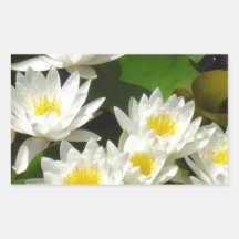 waterlilies y hojas rectangular altavoces