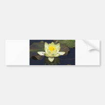 Waterlilly Etiqueta De Parachoque