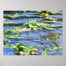 Watersnake Impresiones
