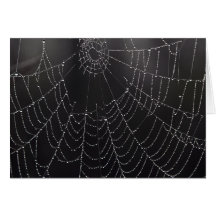Web en la niebla (tarjeta)